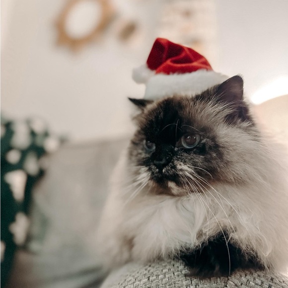 ✨ SALE ✨ - Picture 9 of 16